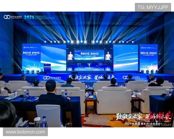 长沙企业家在创新与转型中的崛起与挑战：从本土到全球的路径探索